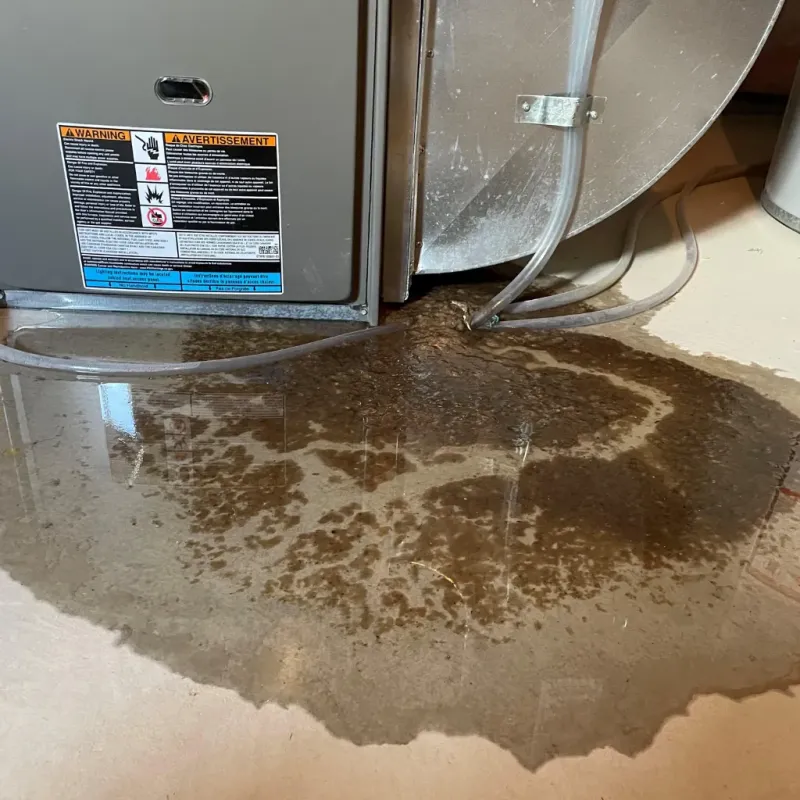 Appliance Leak Cleanup in Greenville, PA